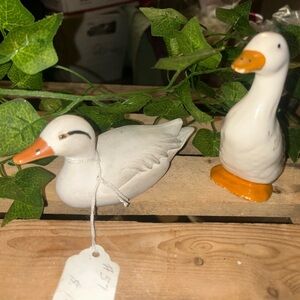 Ceramic Duck Figurines Set